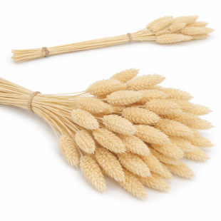 Flori uscate decorative naturale – 60 cm